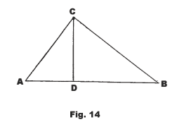 ole14.gif