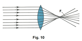 ole10.gif