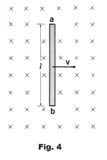 ole3.gif